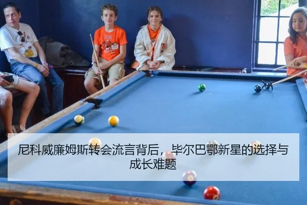 ni-ke-wei-lian-mu-si-zhuan-hui-liu-yan-bei-hou-bi-er-ba-e-xin-xing-de-xuan-ze-yu-cheng-zhang-nan-ti-2-480.jpg